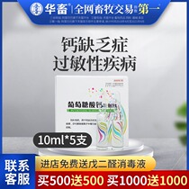 Chinese animal Calcium gluconate injection Veterinary medicine Rabbit horse Cattle sheep medicine Pig medicine Pet dog Dog dog cat calcium supplement