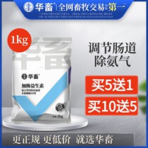 Chinese animal and animal probiotics and enzyme probiotics pig cattle sheep and chicken feed additives regulate the balance of intestinal flora