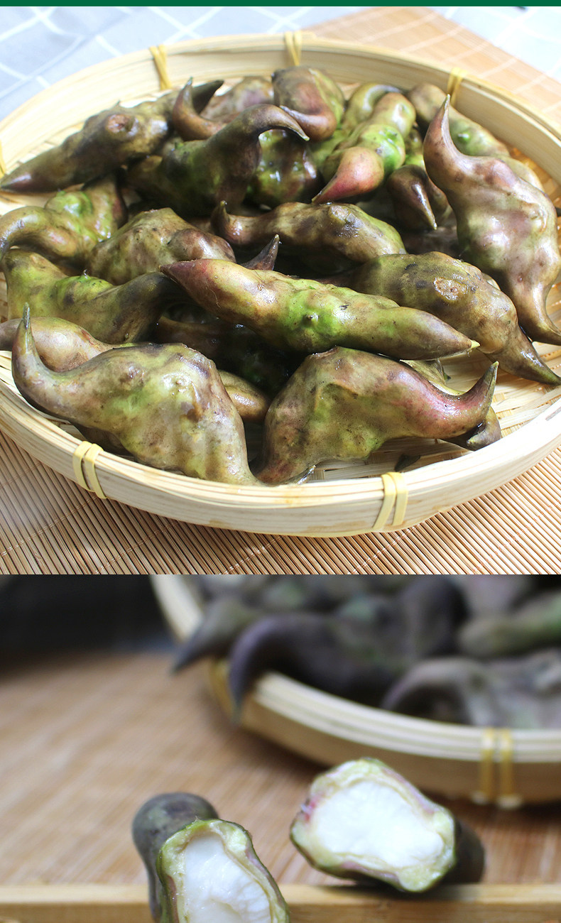 湖北特产做菜当零食皆宜5斤荷蟹洪湖老菱角