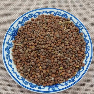 中药材 炒莱菔子 莱服子 炒萝卜子500g/满两斤包邮