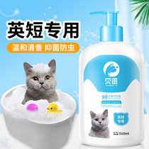 Bettian Inshort exclusive kitty body lotion with blue cat beauty short bacteria Meairy deodorising pet bathing liquid supplies fragrant waves