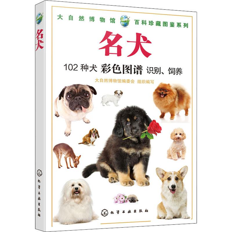 名犬 大自然博物館編