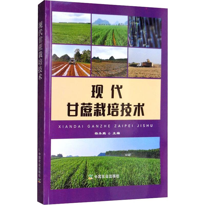 現代甘蔗栽培技術 楊本鵬 編 農業基礎科學專業科技 新華書店正版