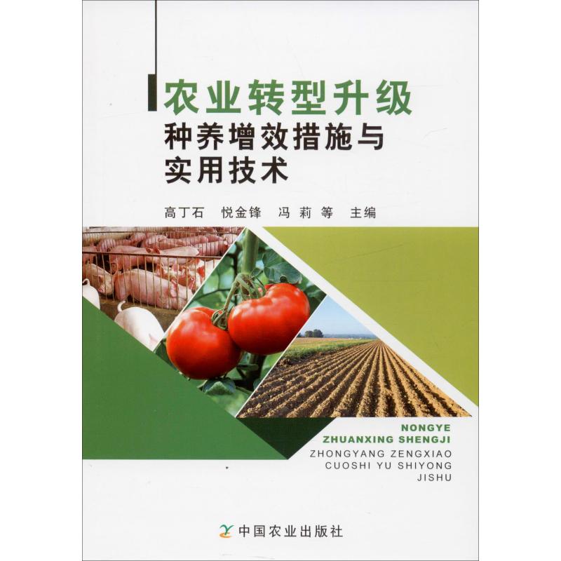 農業轉型升級種養增效措施與實用技術 高丁石 等 編 農業基礎科學