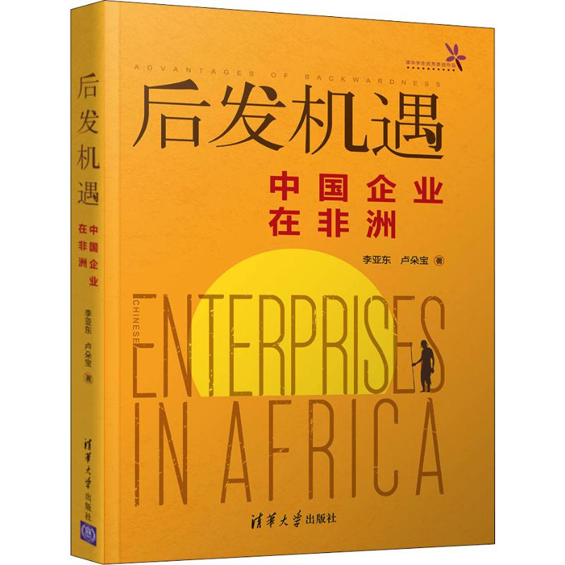後發機遇 中國企業在非洲 李亞東,盧朵寶 著 財務管理經管、勵志