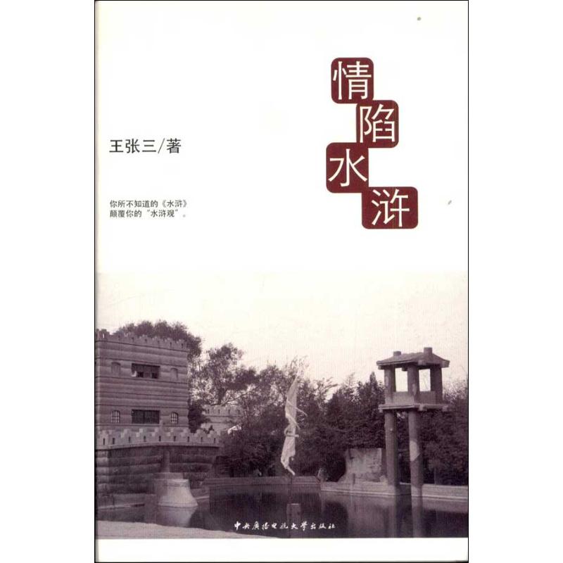 情陷水滸 王張三 著作 中國古詩詞文學 新華書店正版圖書籍 中央