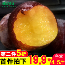 Shaanxi black Brin plum crispy red plum boneless plum Sweet and moist fresh fruit pregnant women sour and sweet FCL