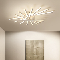 Modern minimalist design Living room Lamp suction top light Atmospheric fashion LED personality Restaurant light Creative Nordic bedroom lamp