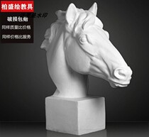 Horse head plaster statue art teaching aids Bai Sheng painting sketching sketching painting still life model sculpture ornaments sketching teaching aids