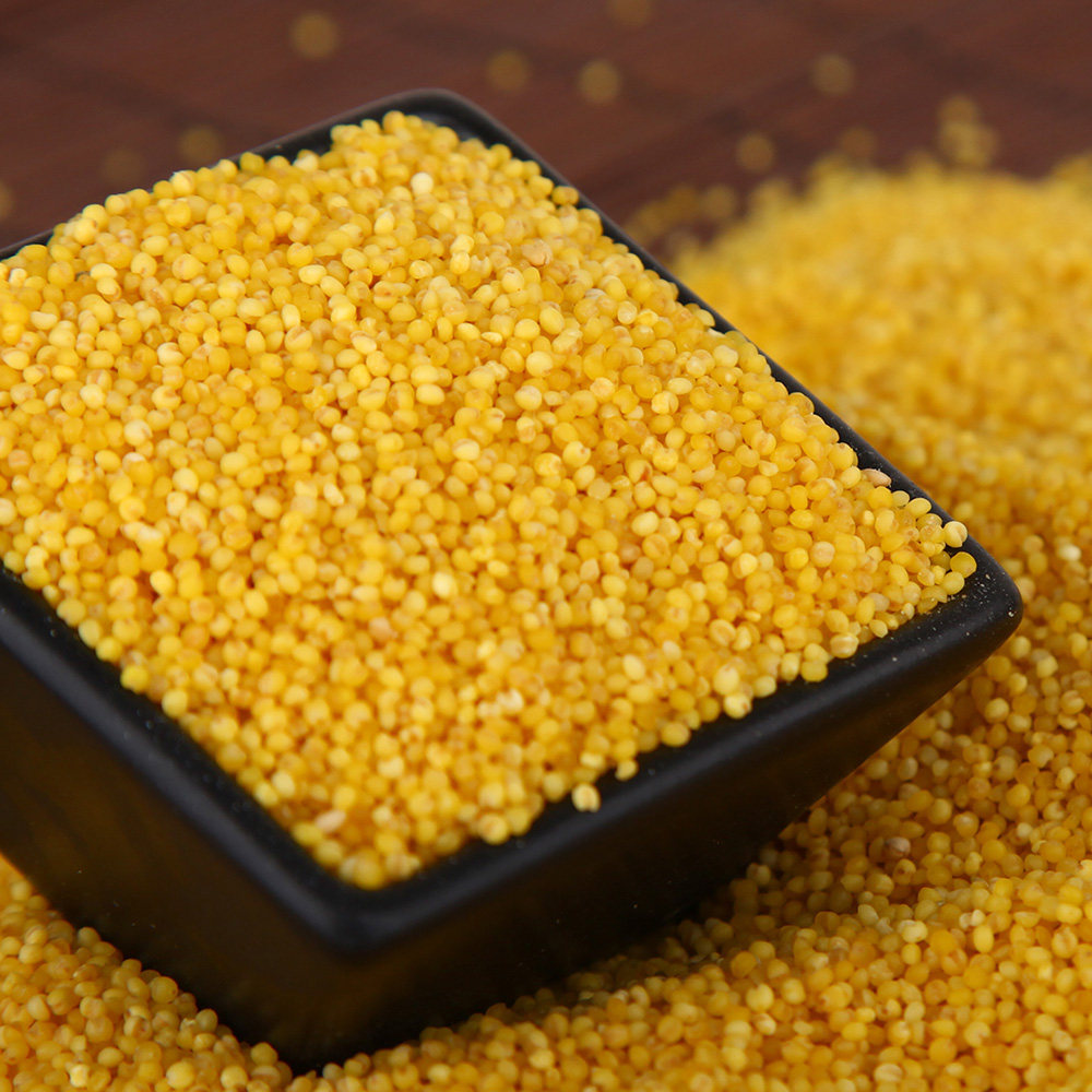 2016秋收新东北有机红谷黄小米2750g(5.5斤)特产杂粮小米粥包邮