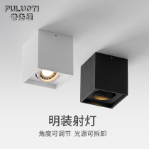 Plotty led spot light Surface mounted dare lamp Ceiling cob ceiling Living room without main light Dining room Bedroom cree cree