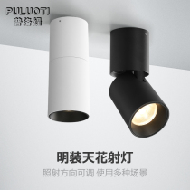 Plotty led clothing store surface installation spot light Living room without main light cob spot light Ceiling ceiling polarized wall washer light
