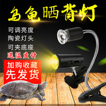 Turtle sun back light UVA UVB3 0 Sun light Reptile heating light Thermostat light holder Full spectrum sun turtle light