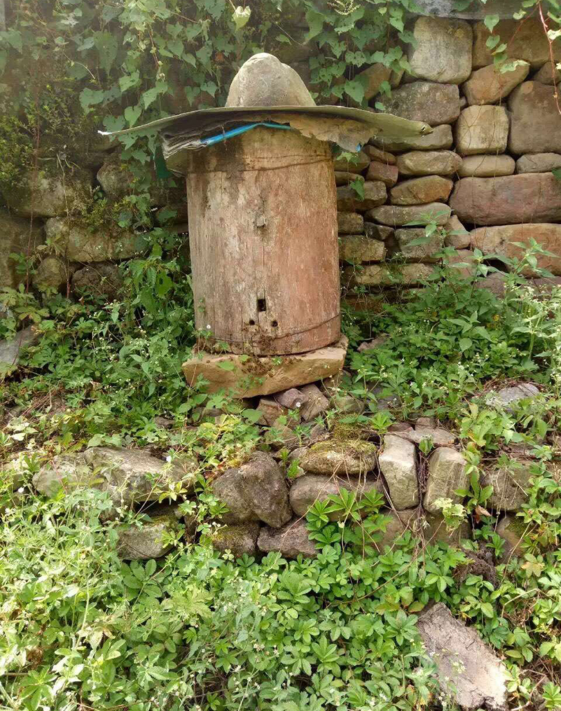 【圆桶蜜】纯正大凉山一年割一次野坝子中蜂结晶百花土蜂蜜500g