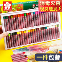 Japan Sakura cherry blossom card oil painting stick 12 color 24 36 36 color 25 color washable child wax pen 50 color