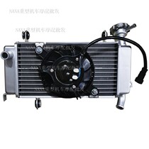 Xiao Xunlong motorcycle BJ150-31 150S water tank fan radiator plate cooling system water tank assembly