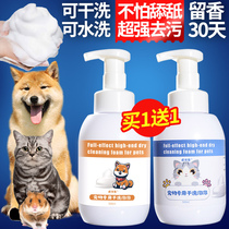 Pet kitty body lotion Bath Dew Dry Cleaning Foam Body Wash bath Rat Free Bath Lotion Cat Germicidal Deodorant and Aroma Pet
