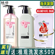 Vegetated cherry blossom soft and smooth amino acid no silicone oil shampoo to improve the manic lasting aroma washing and dew straight value view