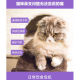 Weishi Cat Ammonia Tablets 200 ເມັດສໍາລັບແມວ Cat Amine Lysine ສາຂາດັງສໍາລັບການຈາມ, ນໍ້າມູກໄຫຼແລະນ້ໍາຕາເພື່ອເພີ່ມພູມຕ້ານທານ