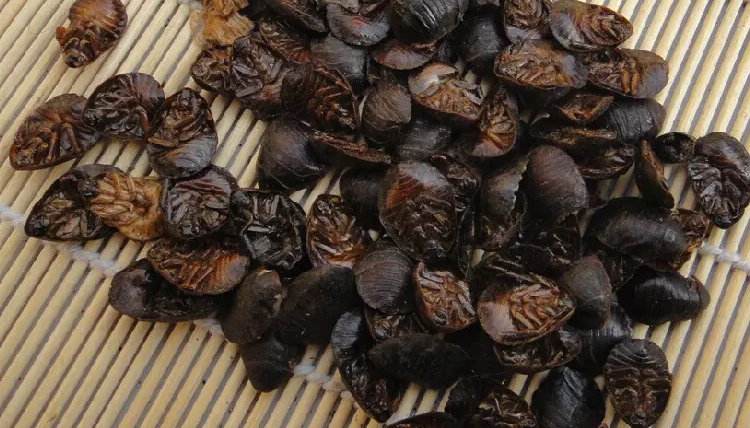 中药材 精选土元 蟅虫 地鳖虫 土鳖虫 免费磨粉 50g抓药_7折现价4元