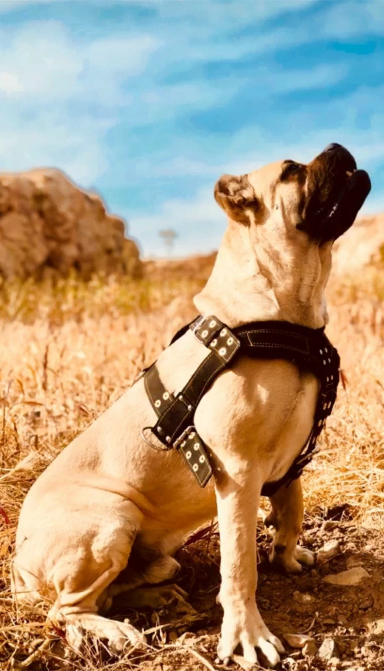 gm6WifKnzdTvlDvTUnbTc8vsCEGiDz2DSYJx