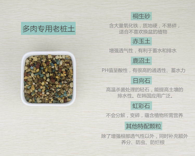 多肉植物专用营养配方土小苗多肉配土全颗粒老桩土仙人掌专用沙土