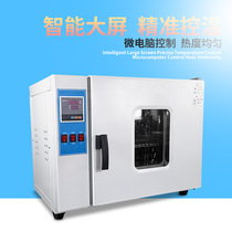 Electric constant temperature blast drying box Laboratory industrial oven Small oven Vacuum blast high temperature drying box