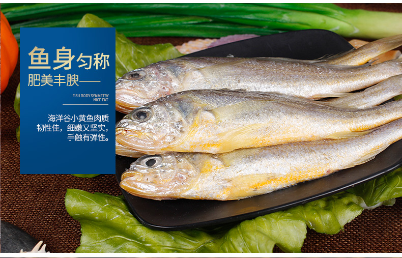 东海野生宁波海鲜水产特产新鲜天然小黄鱼冷冻生鲜顺丰包邮500g