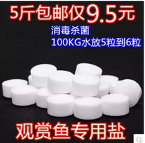 Aquarium ornamental fish special sea salt ball salt for fish farming Sea salt coarse salt fish tank Tropical fish sterilization disinfection Mineral salt