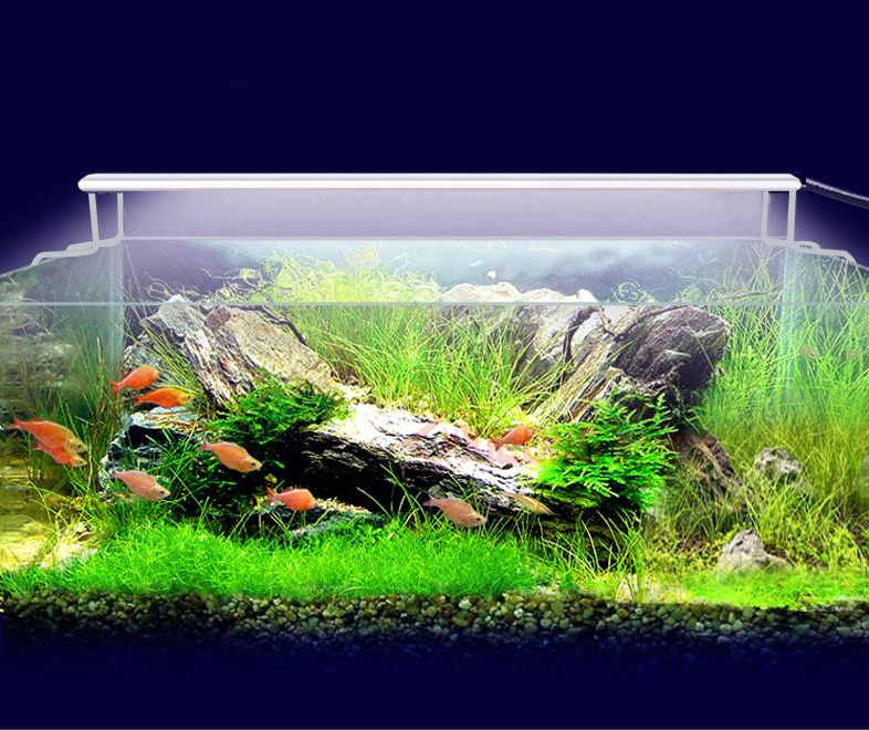 Выбор дополнительного освещения