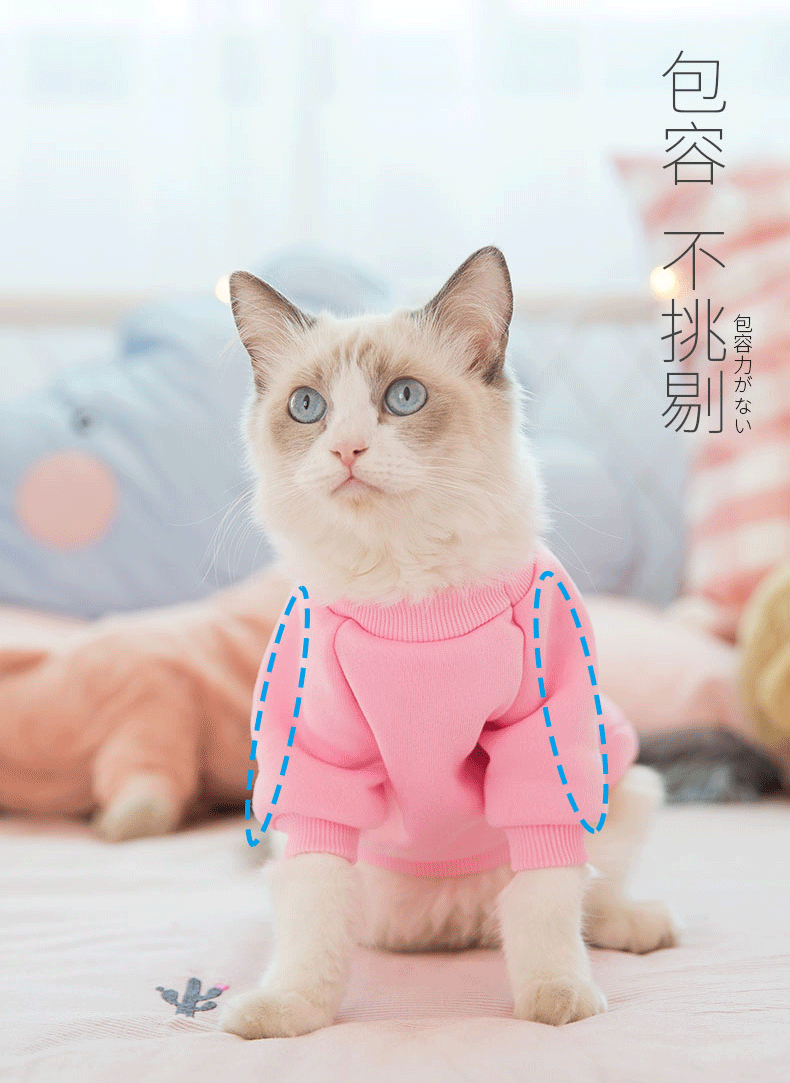 猫衣服秋季新款猫咪衣服可爱猫服装公主风猫服饰小猫幼猫卫衣秋冬