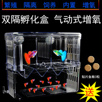 Suspended pneumatic built-in delivery room Incubation isolation box double-layer juvenile protection box fish tank Tropical small fish delivery room