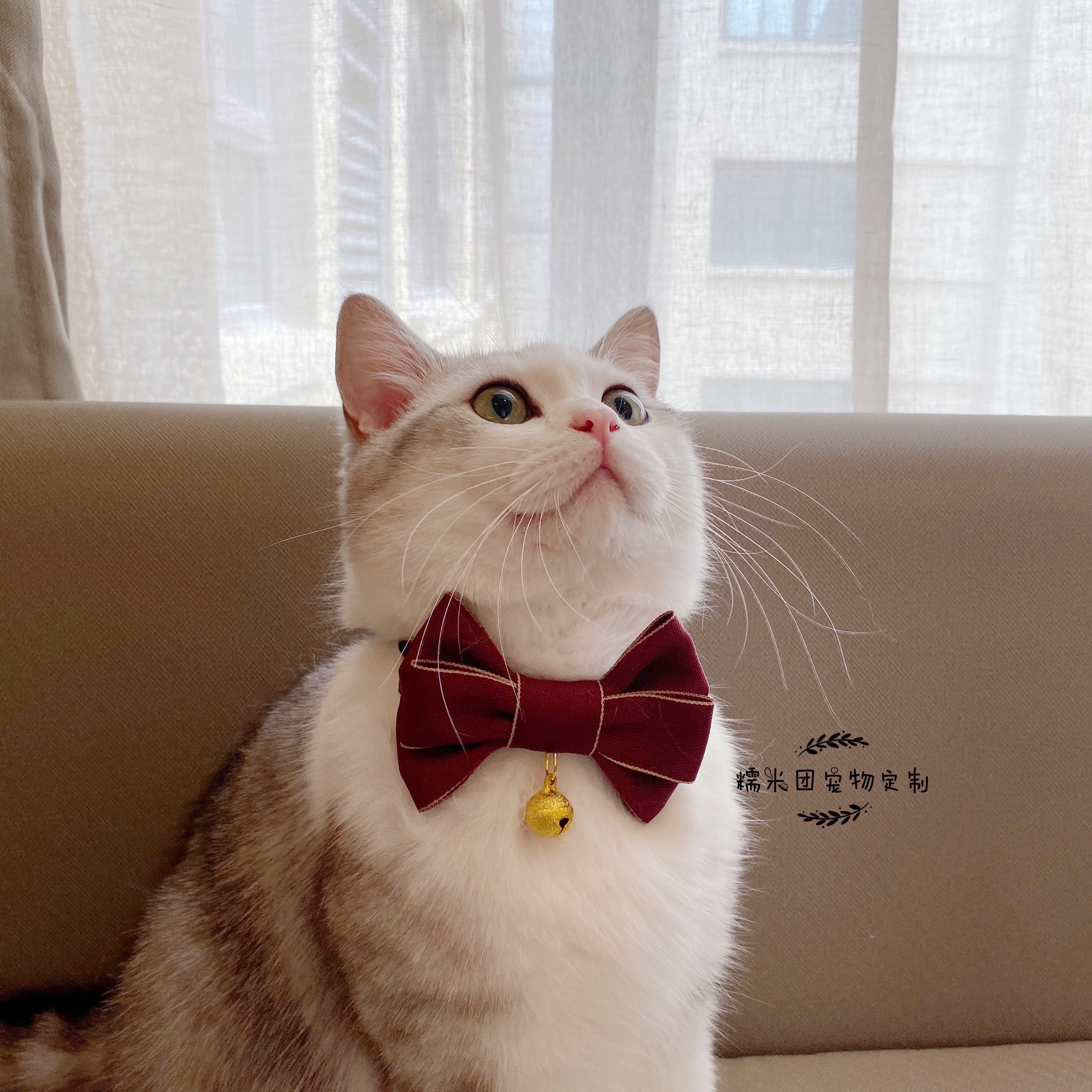 包邮手工宠物通用大型犬蝴蝶结婚礼韩式领结猫咪蕾丝饰品狗狗领带