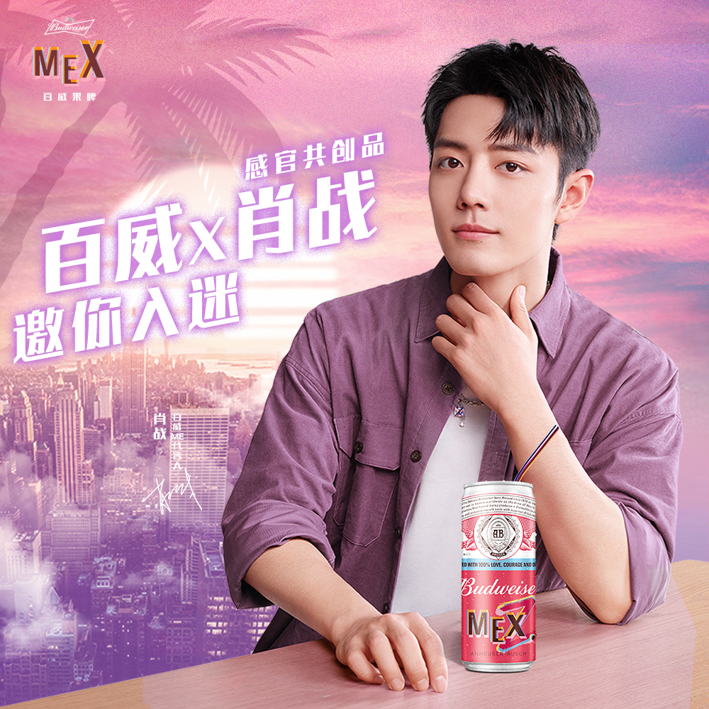 百威肖战共创品 mex果味啤酒 310ml*10罐箱装新品_一点排行网