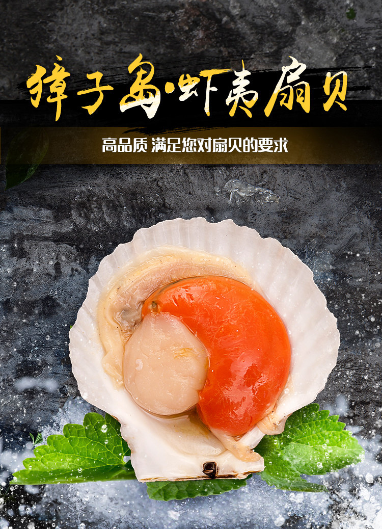 大连獐子岛鲜活虾夷半壳扇贝 冷冻 新鲜超大蒜蓉粉丝蒸扇贝王