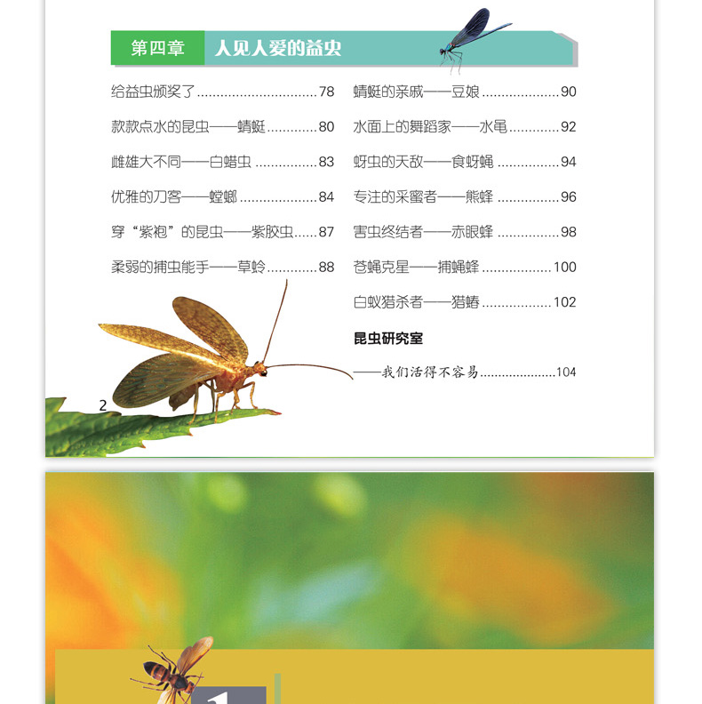 知识的英文_知识就是力量是谁的名言_知识：