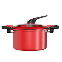 Micro pressure cooker exclusive