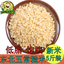 Northeast new brown rice 5kg authentic Wuchang japonica rice porridge Brown Rice Rice Rice whole grains farmer germ black rice coarse grain