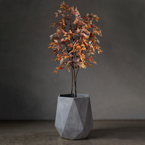 Simulation plant colored birch household room retro-landing piece decorated green plant space beautification fake tree