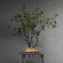 Simulation of Japanese suspension horse drunk tree branches Zen style restaurant fitting green plant plant decoration