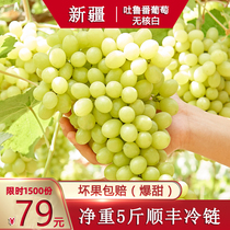 Xinjiang seedless white grapes seedless fruits fresh seasonal whole box of horse milk raisins green Turpan small grapes 5 kg