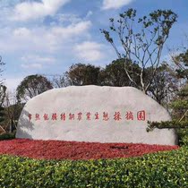 Natural landscape stone carved stone vertical stone Tonglu stone wild mountain stone enterprise door stone embellished stone School Motto stone stone stone