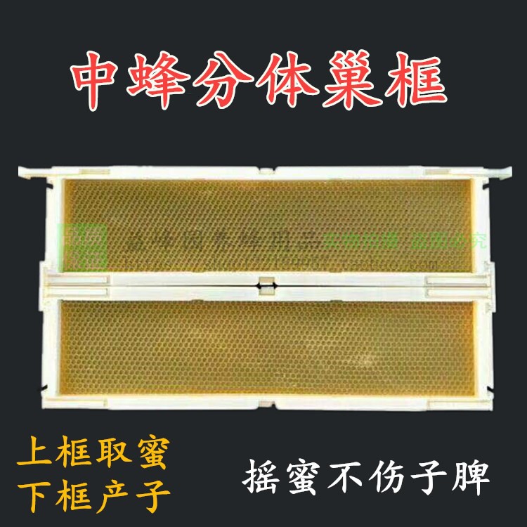 中蜂塑料分体巢框塑料巢蜜框中意蜂多功能塑料巢框巢蜜盒蜜蜂工具