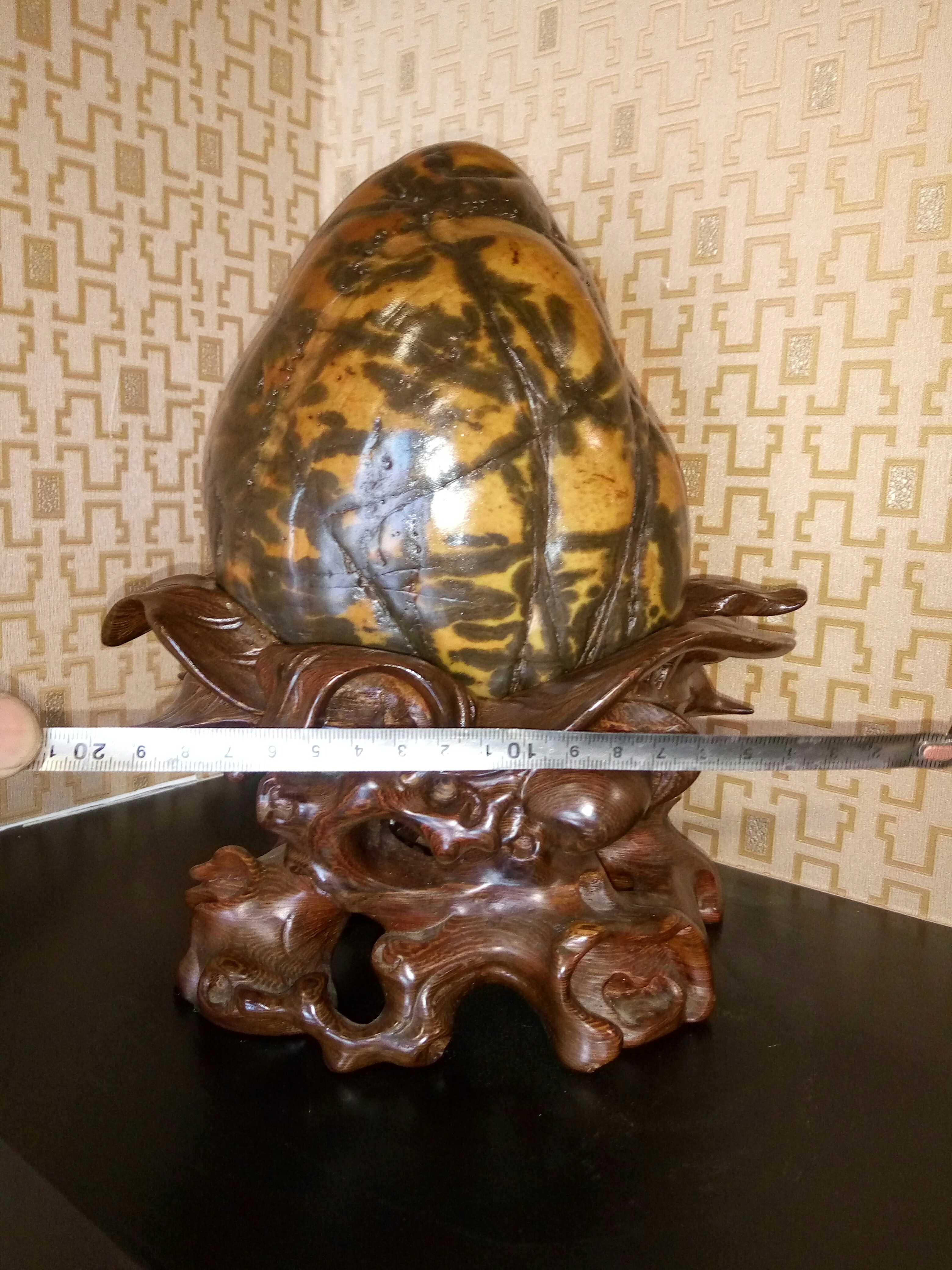 广西草花大化石摩尔石彩陶石太湖石精品奇石观赏石摆件包邮