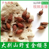 2019 New goods Dabie Mountain wild golden cherry prickly pear pear mountain Pomegranate Sugar Jar farmers picking 500g