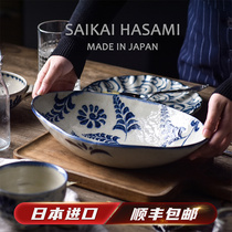 Japanese imported ceramic tableware hand-drawn ice crack dish plate dumplings plate household opening
