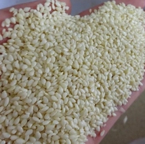Peeled white sesame seeds white sesame seeds raw sesame 250g and half a catty of non-peeled white sesame seeds
