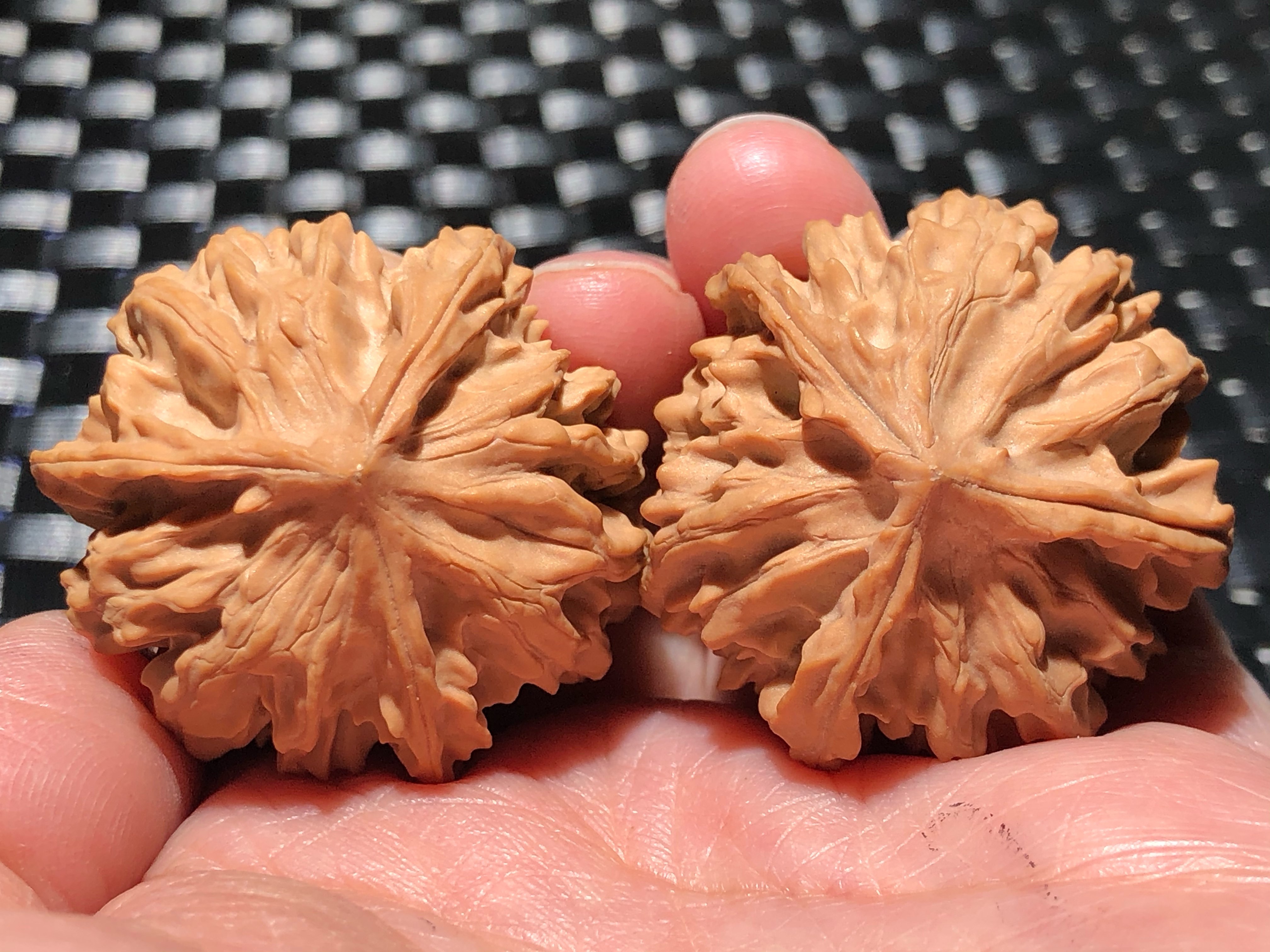 核核美美文玩核桃野生小众33.0岐山三棱正奔精品收藏级a603