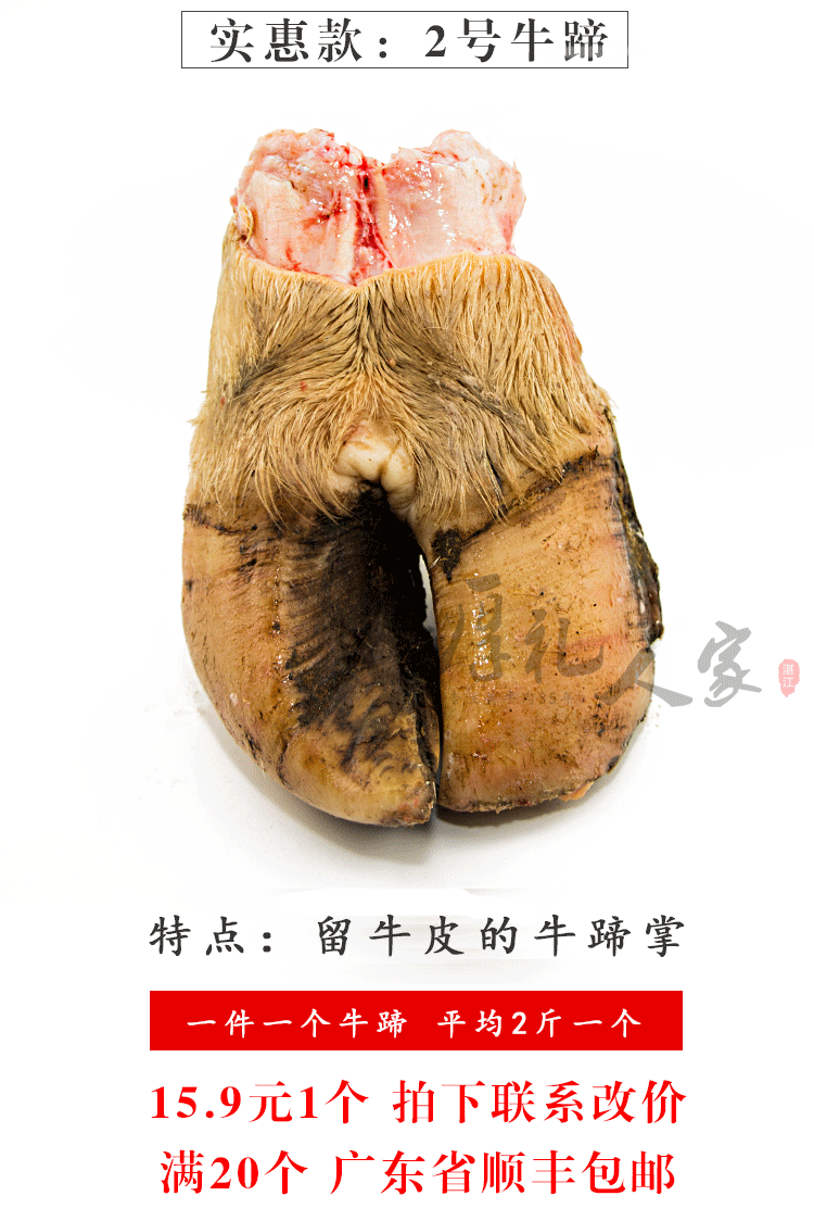 新鲜黄牛蹄子生牛蹄黄牛蹄牛掌牛脚蹄新鲜牛蹄黄牛蹄牛蹄新鲜_7折现价