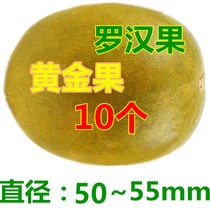 Low temperature dehydrated momordicae tea Guangxi Guilin Yongfu special produce 10 gold really empty freeze-dried fruit bagged batch
